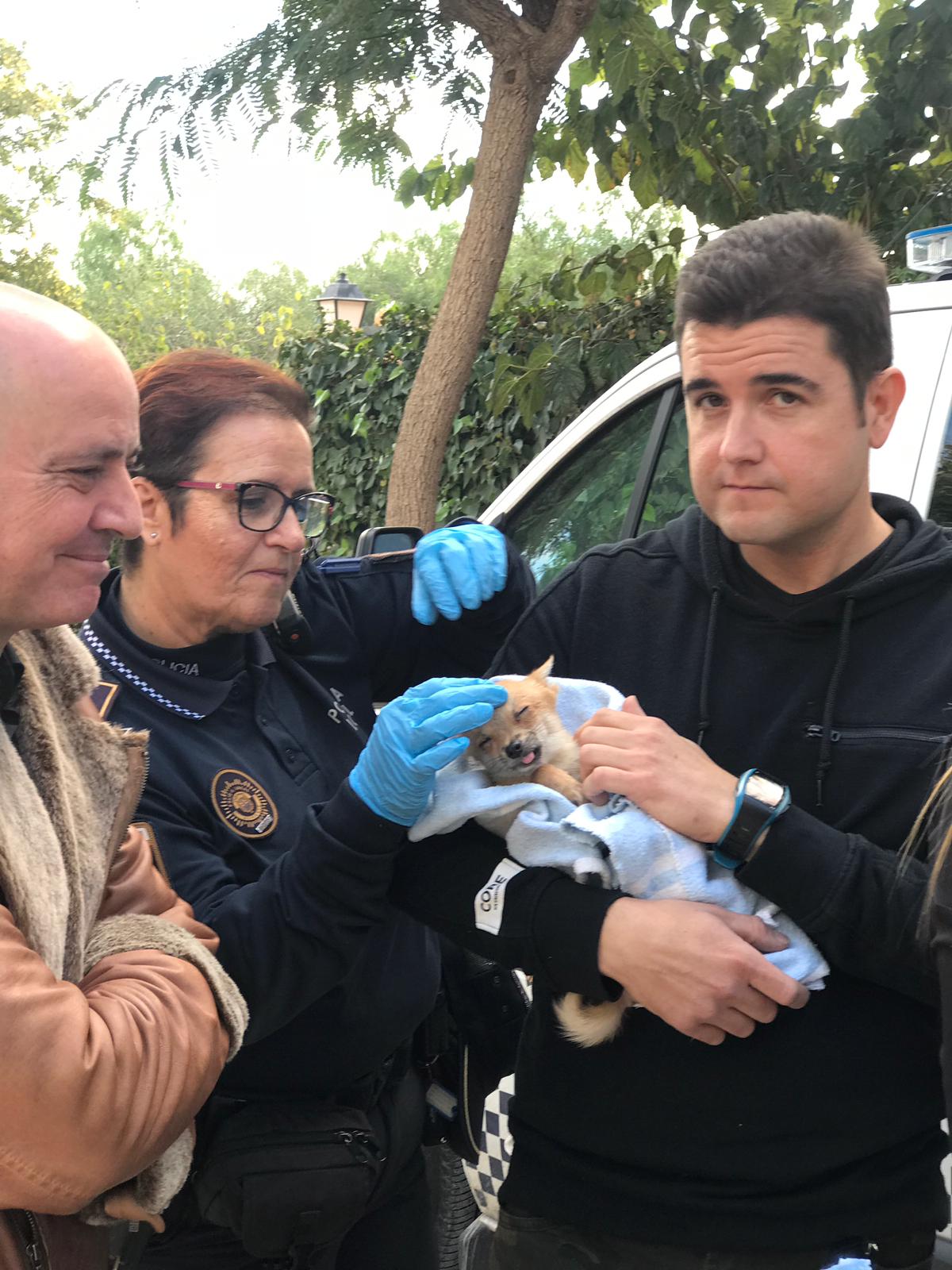 perros Alicante concejala Marisa Gayo (1)