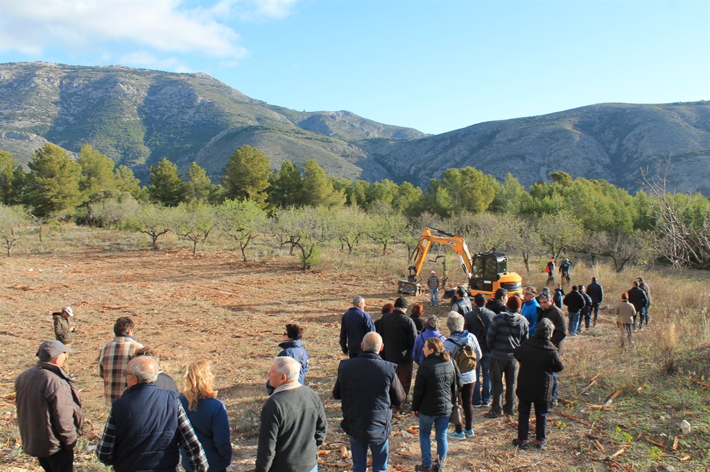 xylella fastidiosa Guadalest (3)