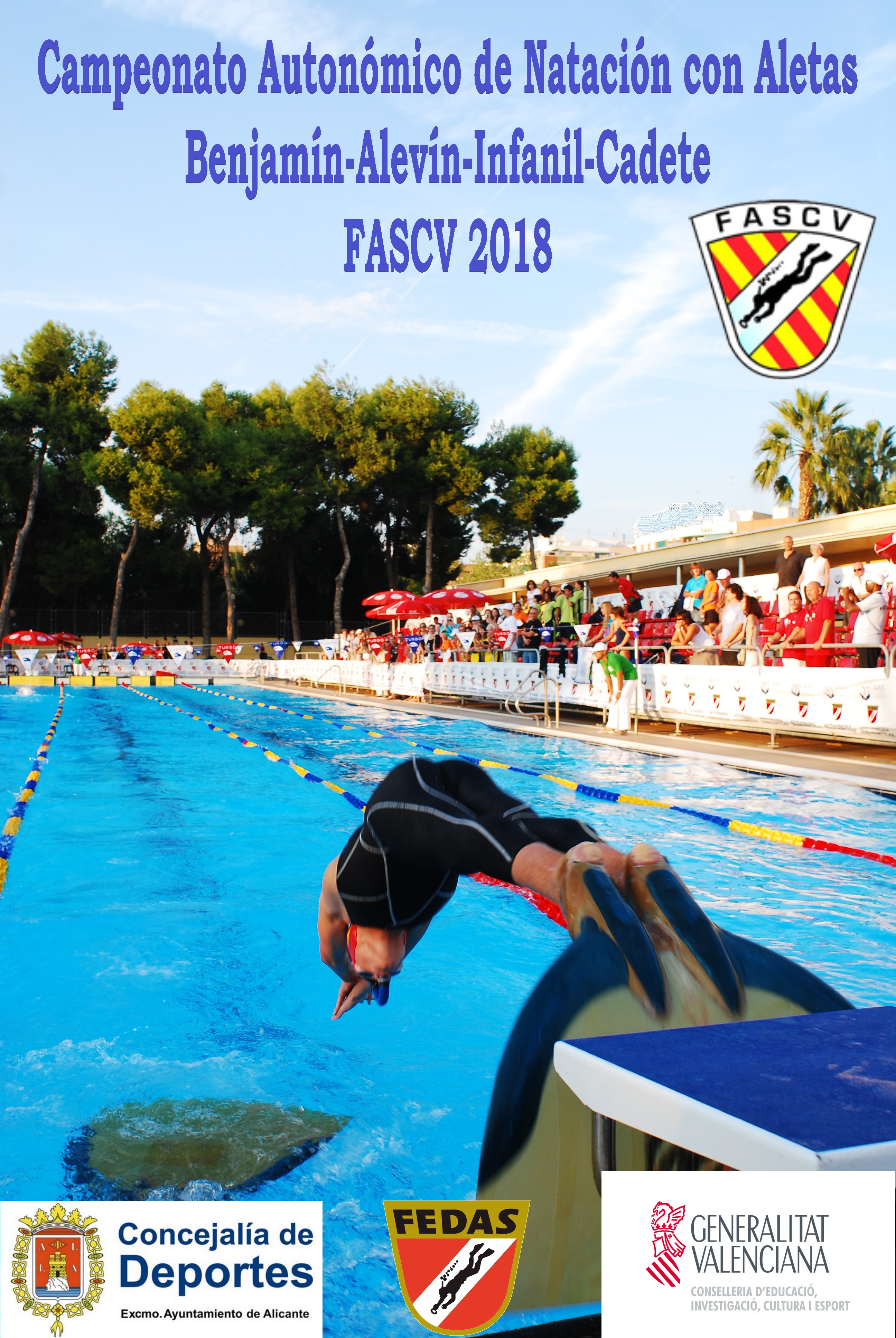 Cartel Cmpto.Autonómico B-A-I-C Natación Aletas FASCV 2018.jpg