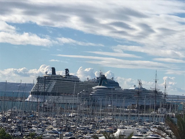 cruceros Alicante turistas Puerto (2).jpeg