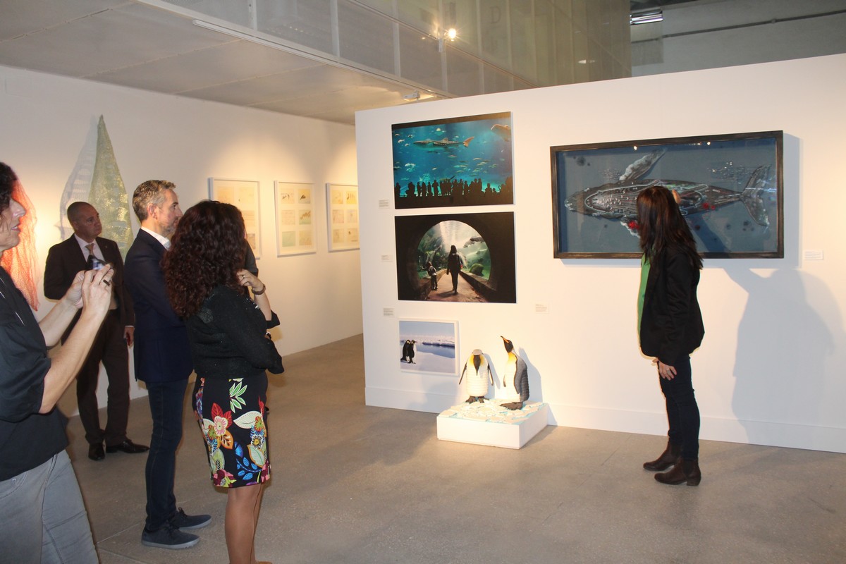 Alicante Capital Animal (4)