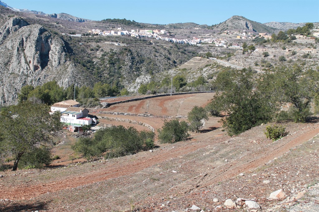 Asaja Alicante xylella (1)