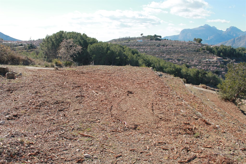 Asaja Alicante xylella (2)