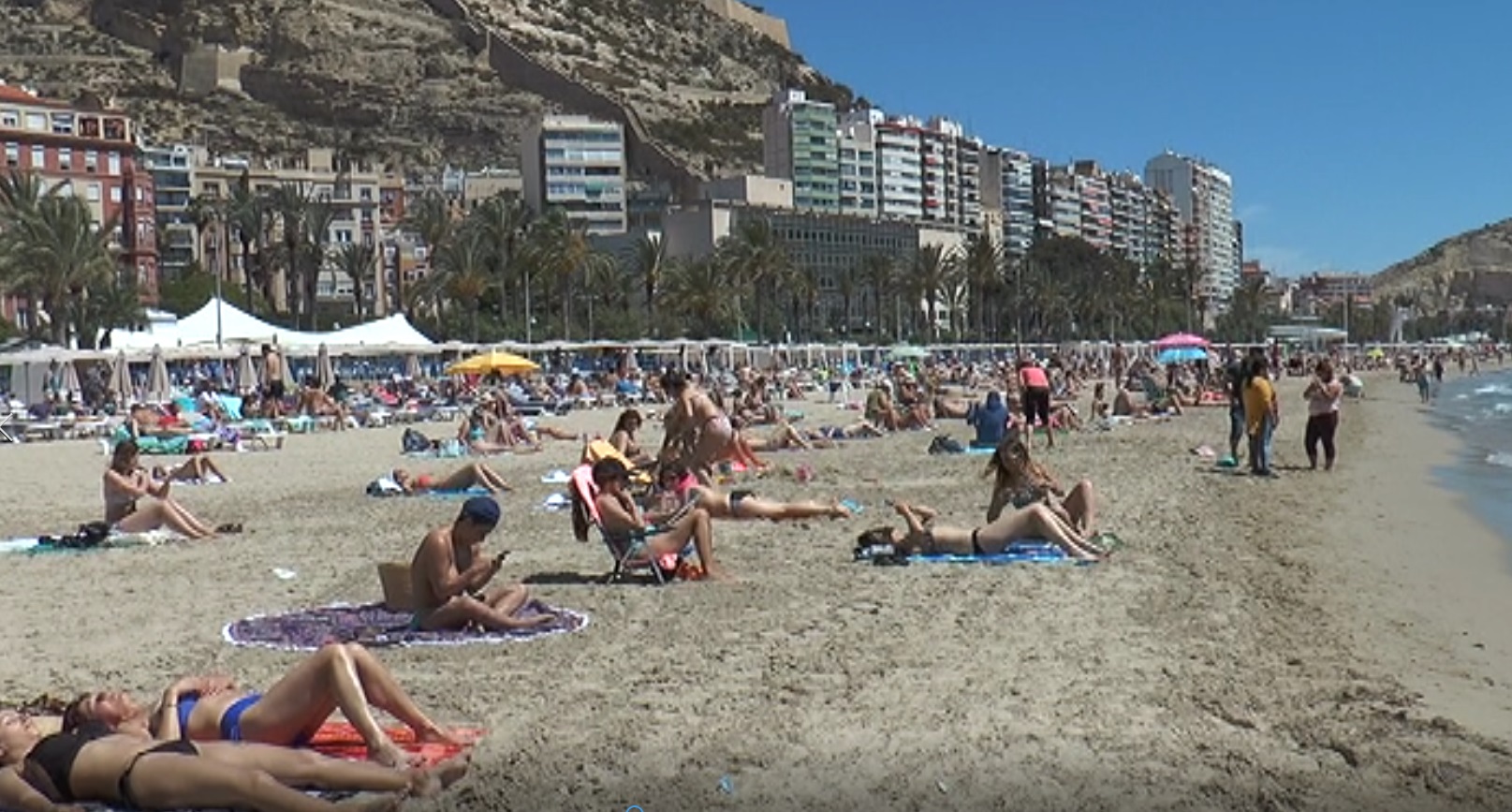 Medusa playa Alicante.jpg
