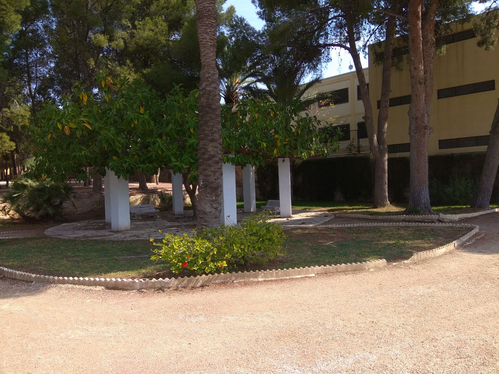 image3