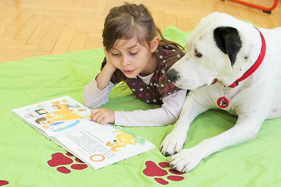 Imagen proyecto Patas y libros.jpg