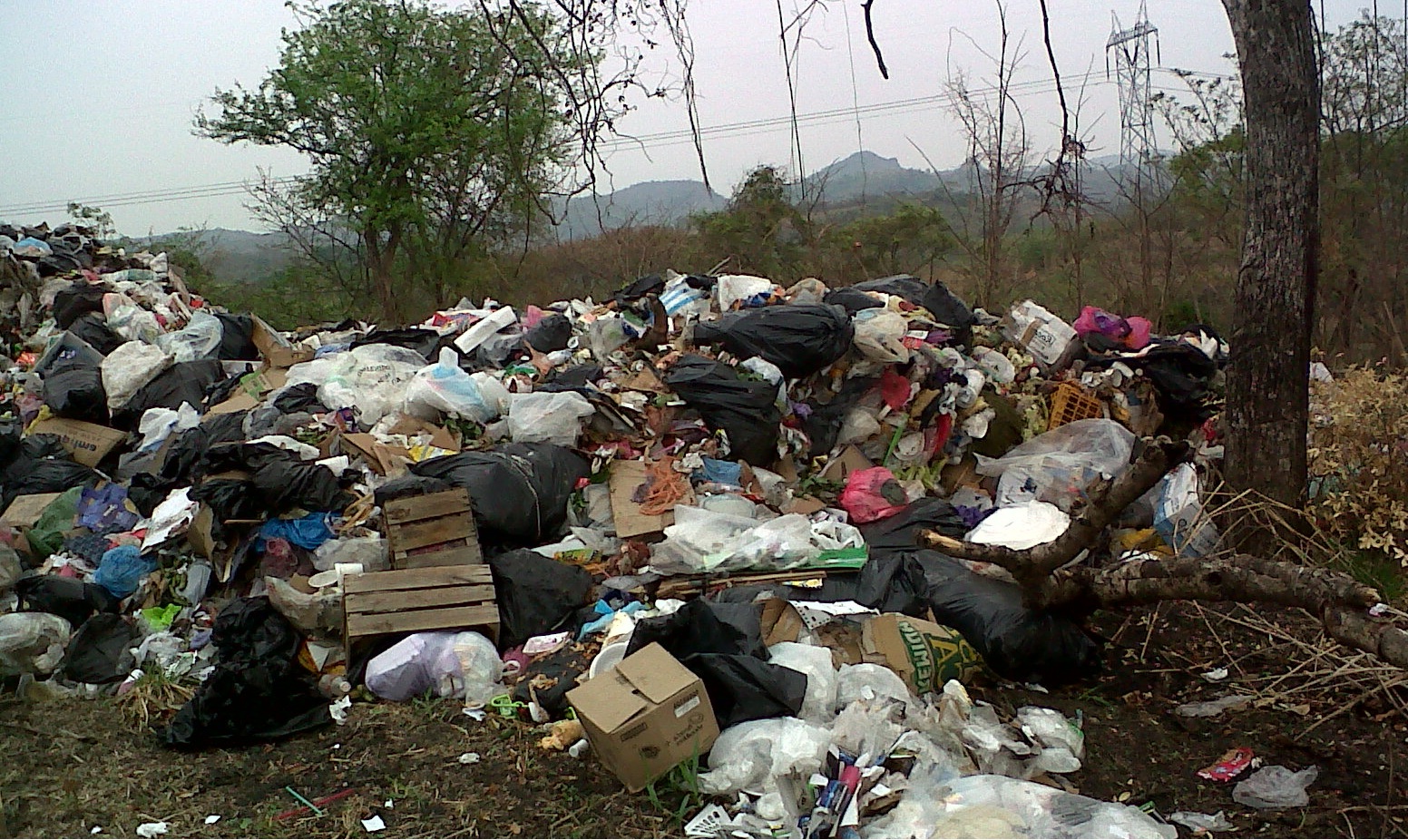 Basura descampado Aspe 2.jpg