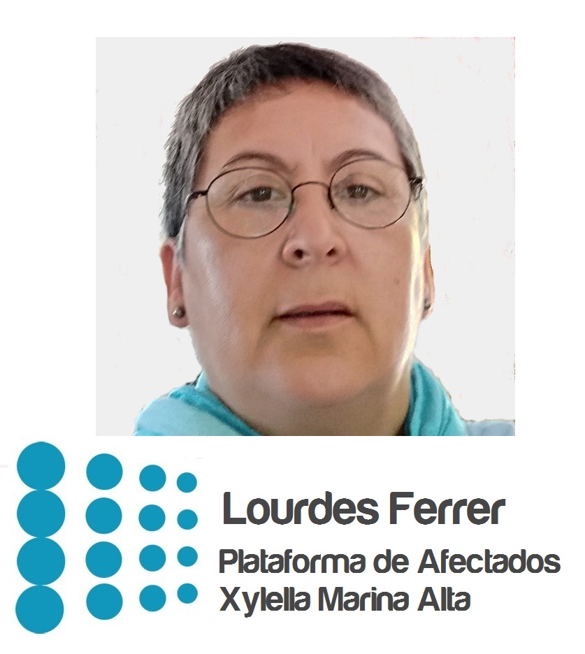 lourdes ferrer.jpg