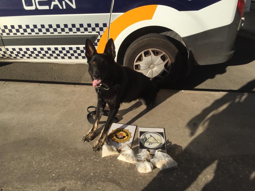 Cocaína Alicante Policía alijo (2)