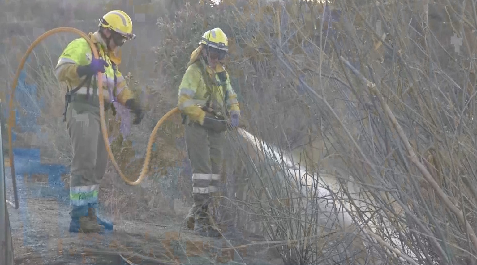 incendios forestales3