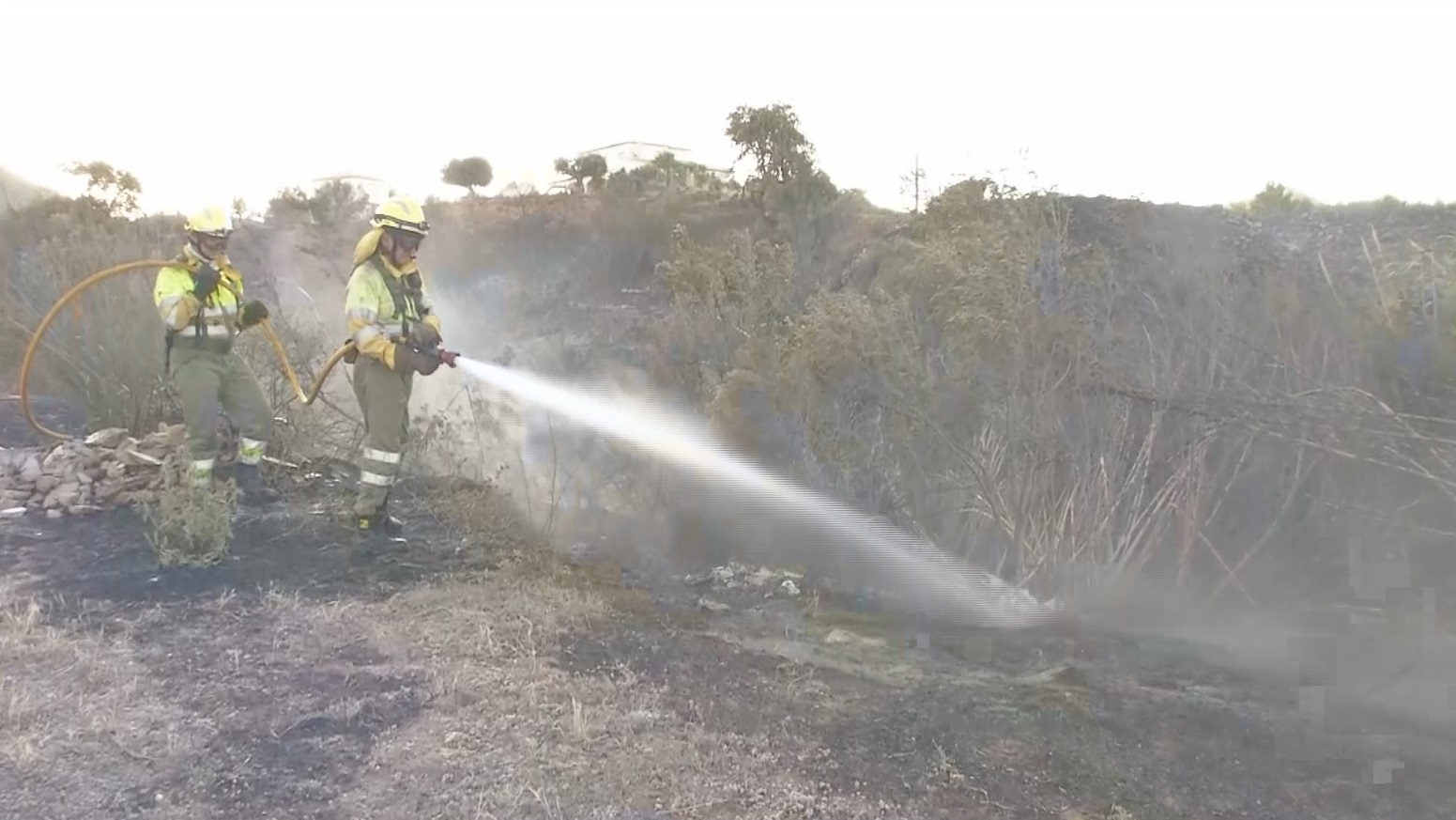 incendios forestales4.jpg