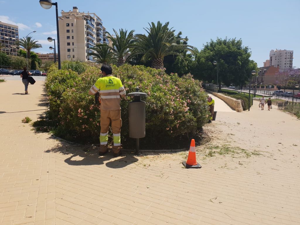Campaña desbroce Alicante Israel Cortés (3).jpg