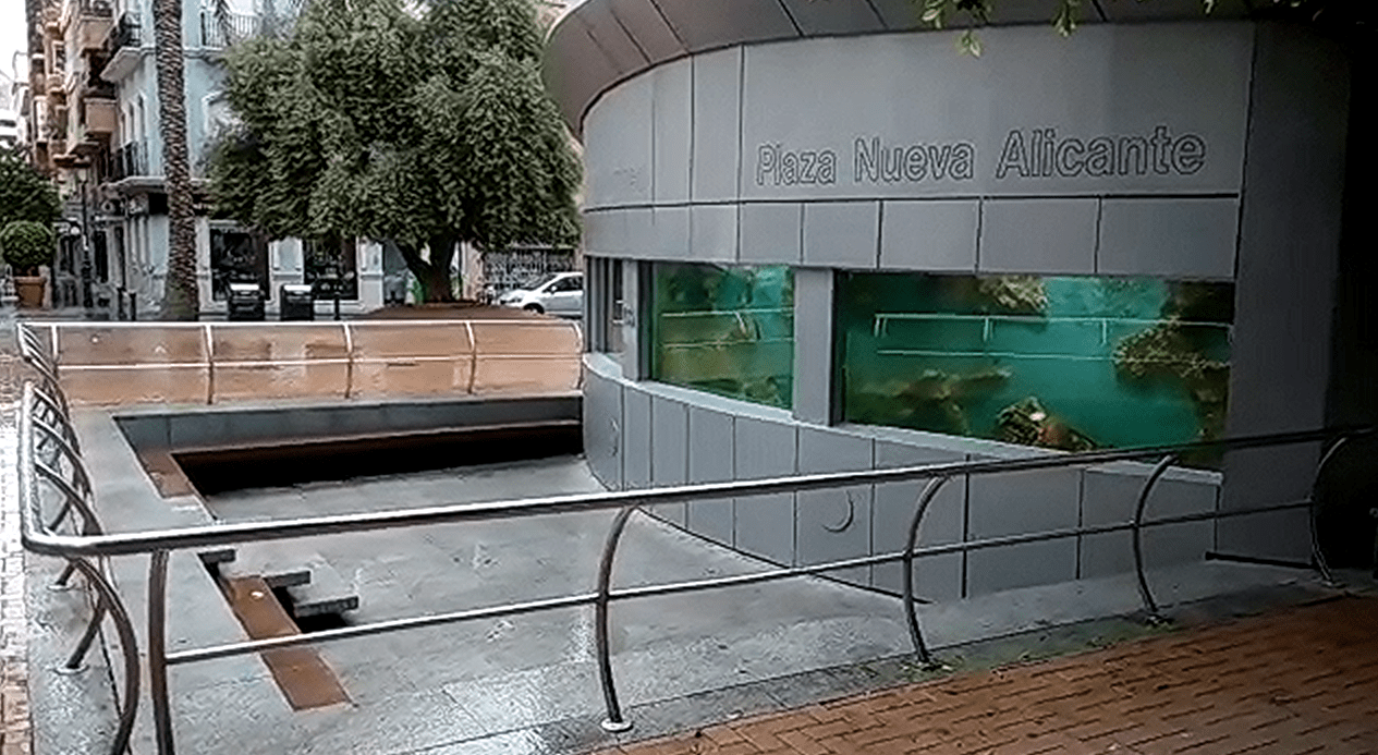 PECERA DELANTERA.png