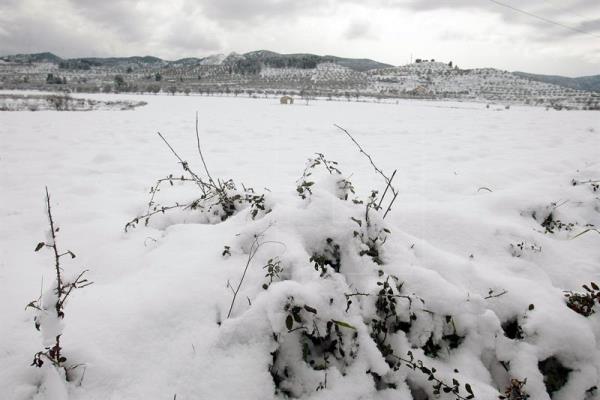 NIEVE PROVINCIA aLICANTE