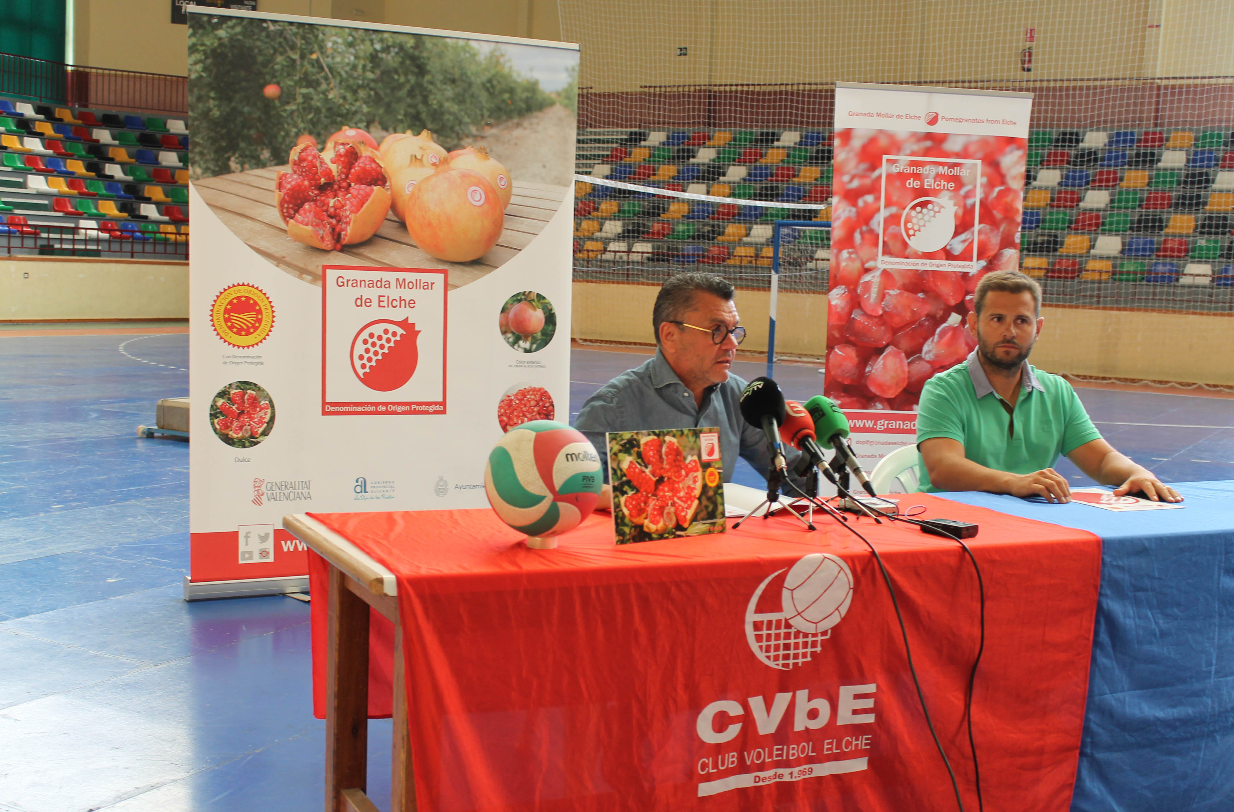 Voleybol femenino granadas Elche
