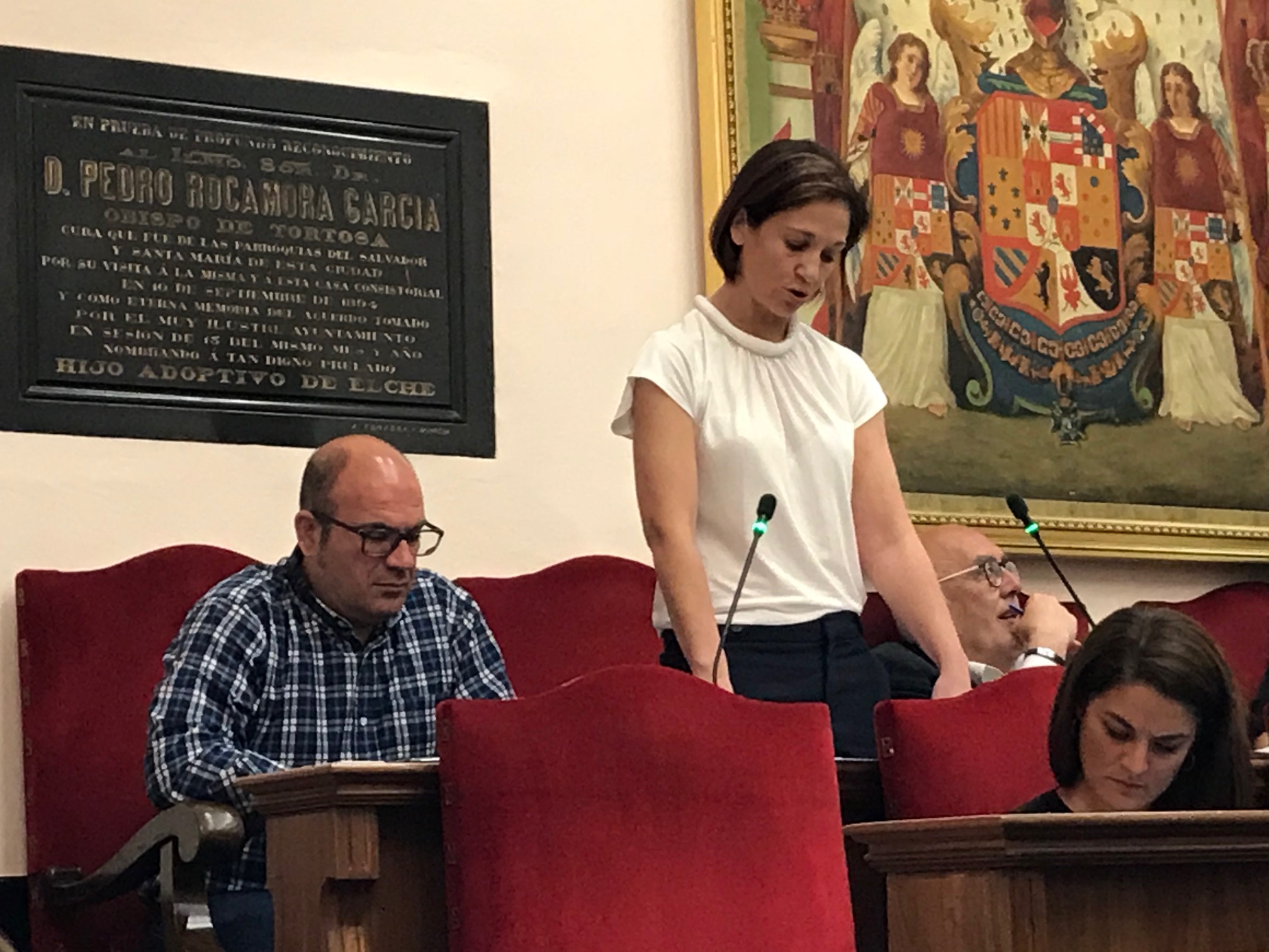 Ana Arabid pleno mayo.jpg