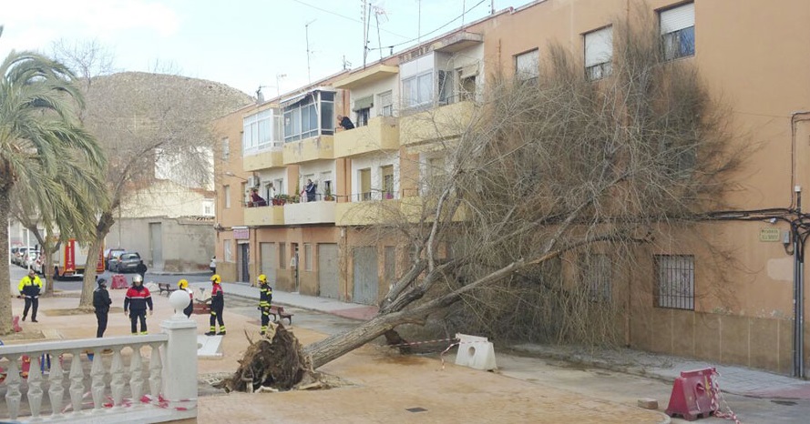 rbol caído Petrer viento