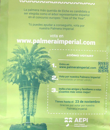 Votación-Palmera-Imperial.jpg