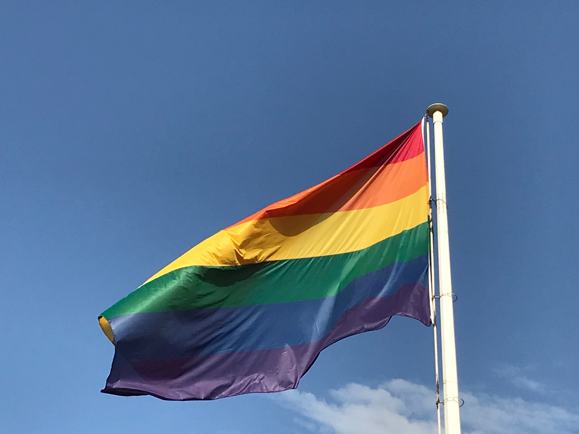 LGTBI 5
