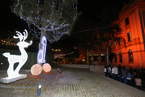 árbol navidad Diputación Alicante.jpg