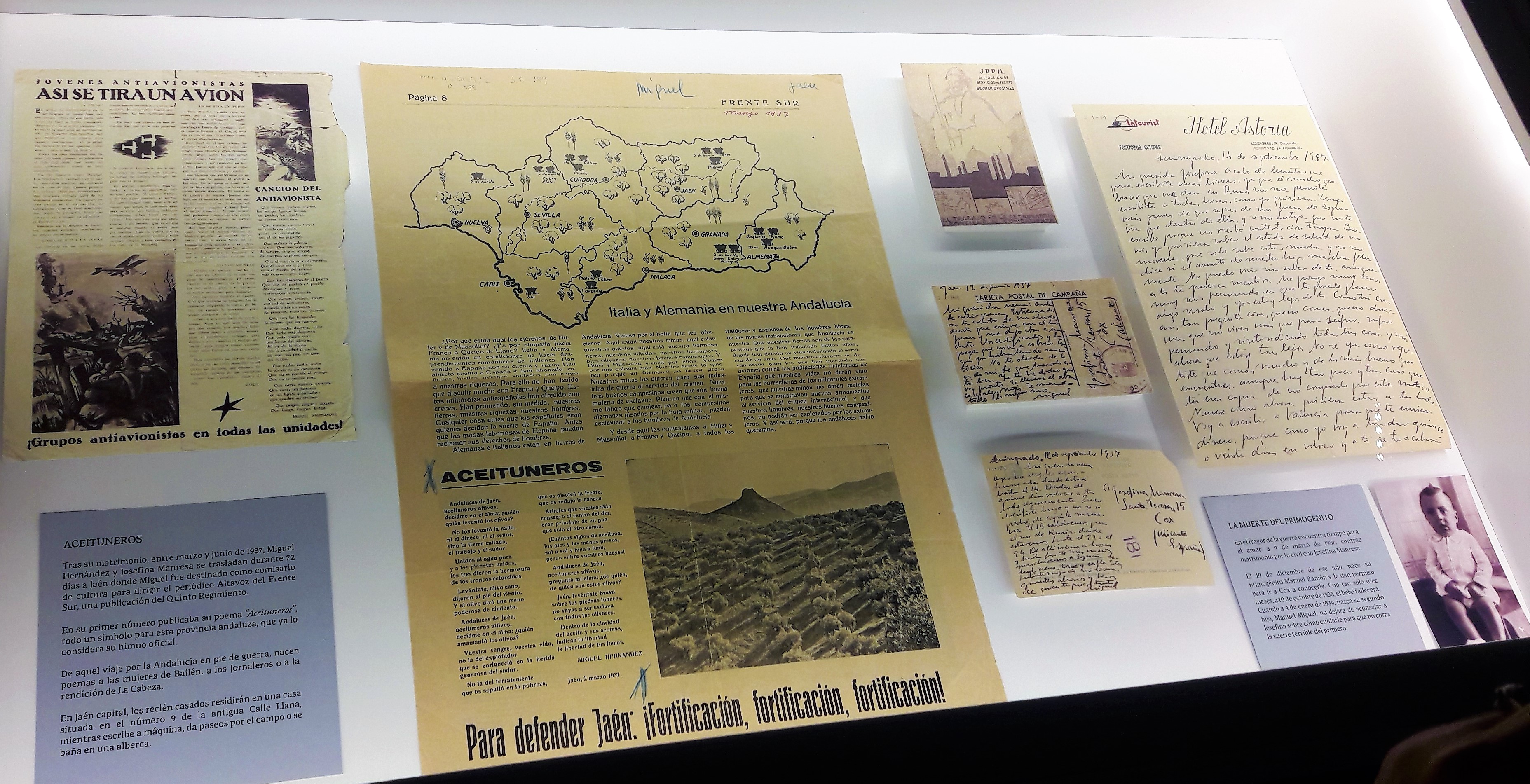 Legado Miguel Hernández 1