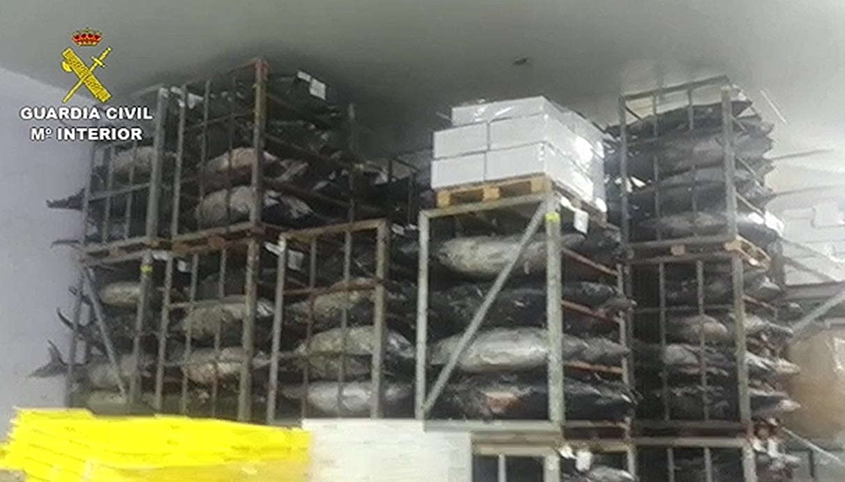 Guardia Civil Atún Alicante (1)