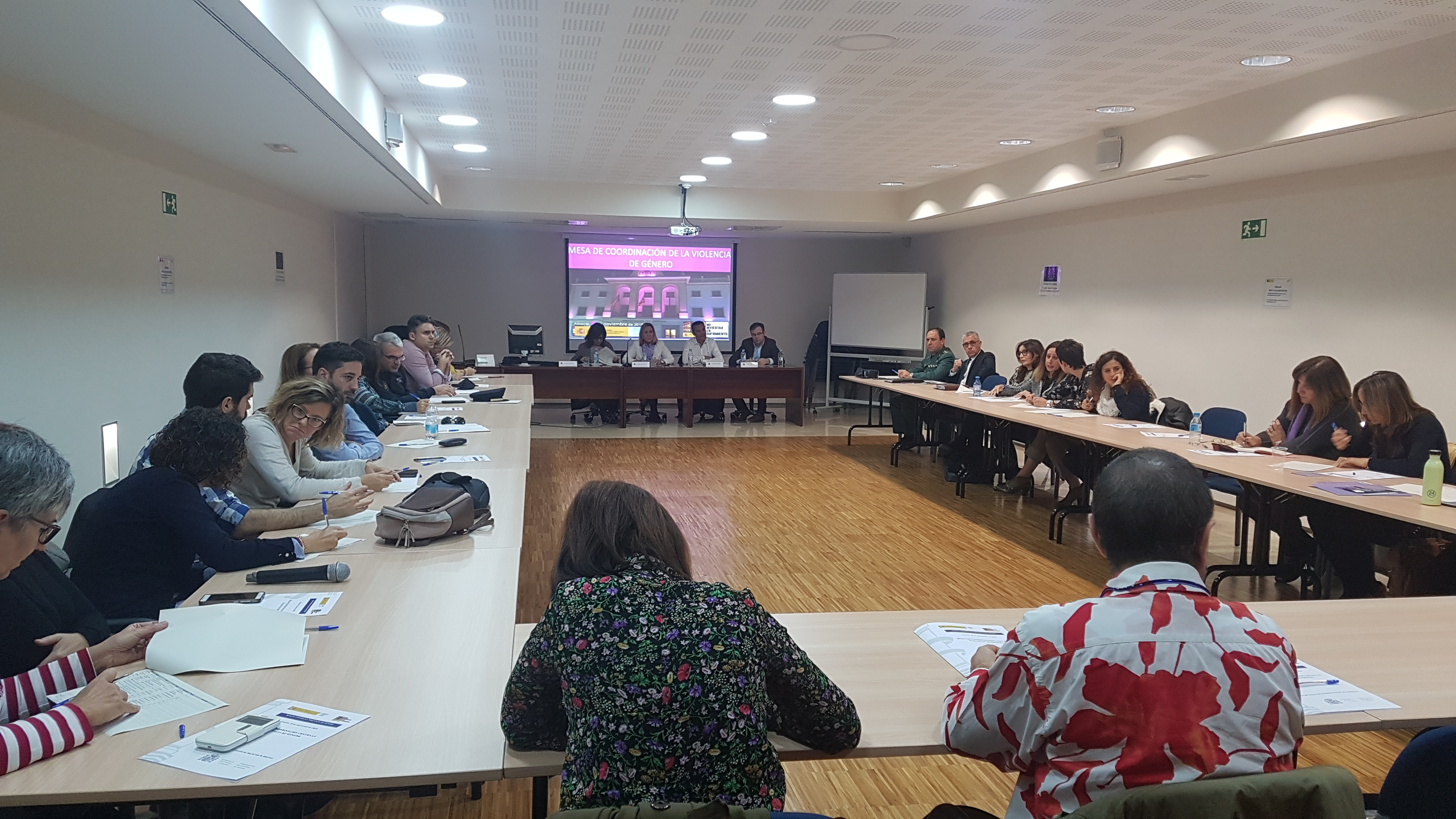 Mesa de Coordinación de Violencia de Género (1)
