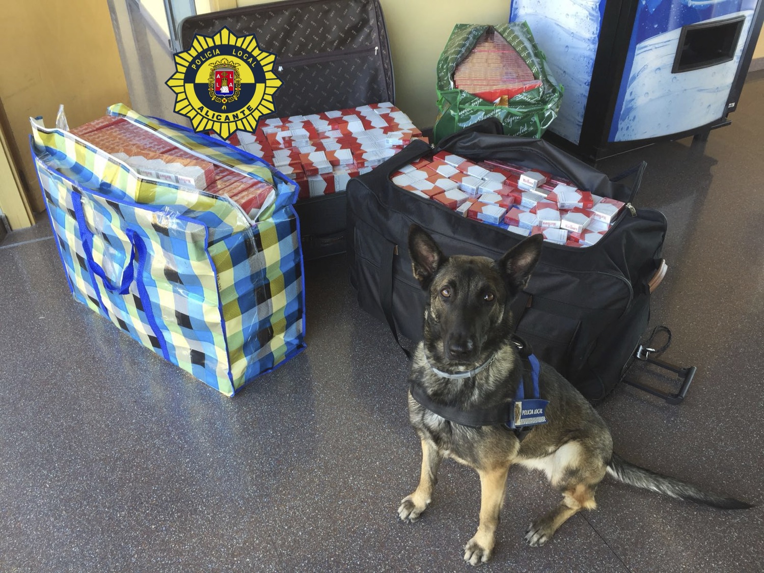 Contrabando tabaco policía Alicante (3)