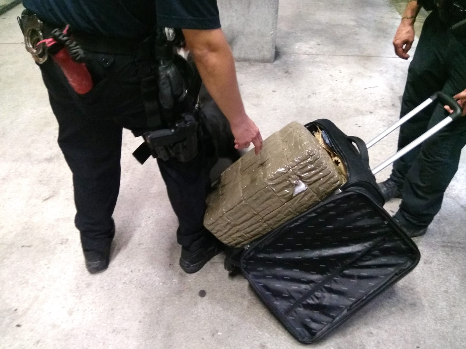 Unidad Canina de la Policía Local de Alicante (2)