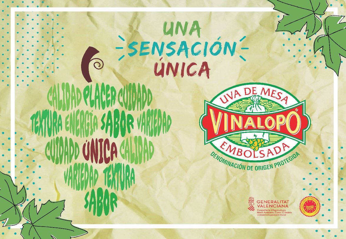 Uva embolsada del Vinalopó DOP.jpeg