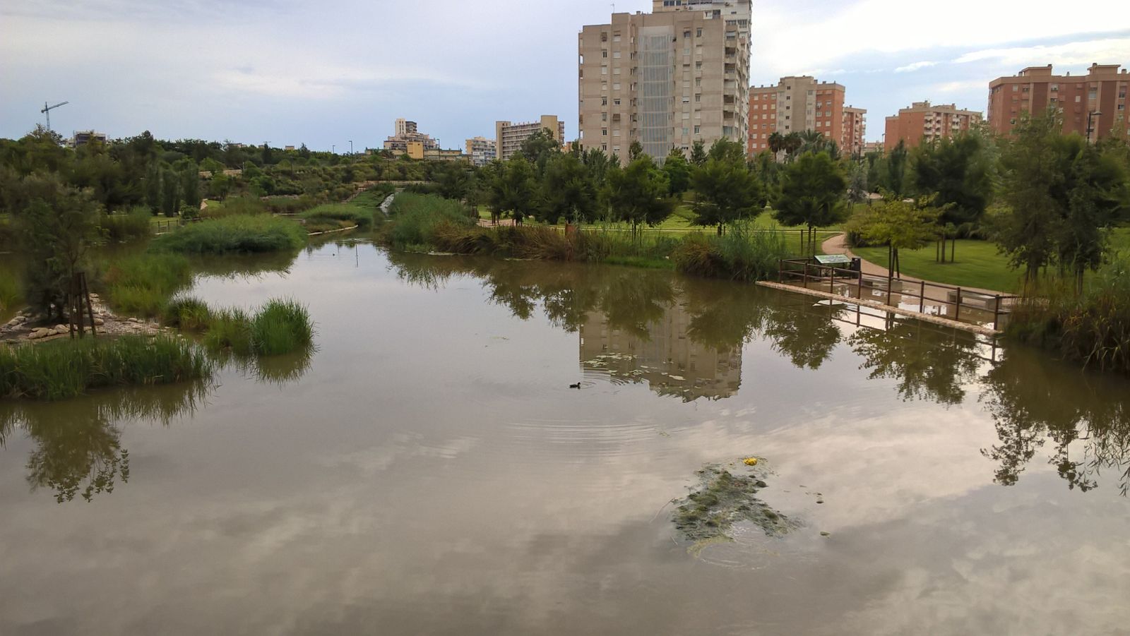 lluvias Alicante Hidraqua aguas alicante