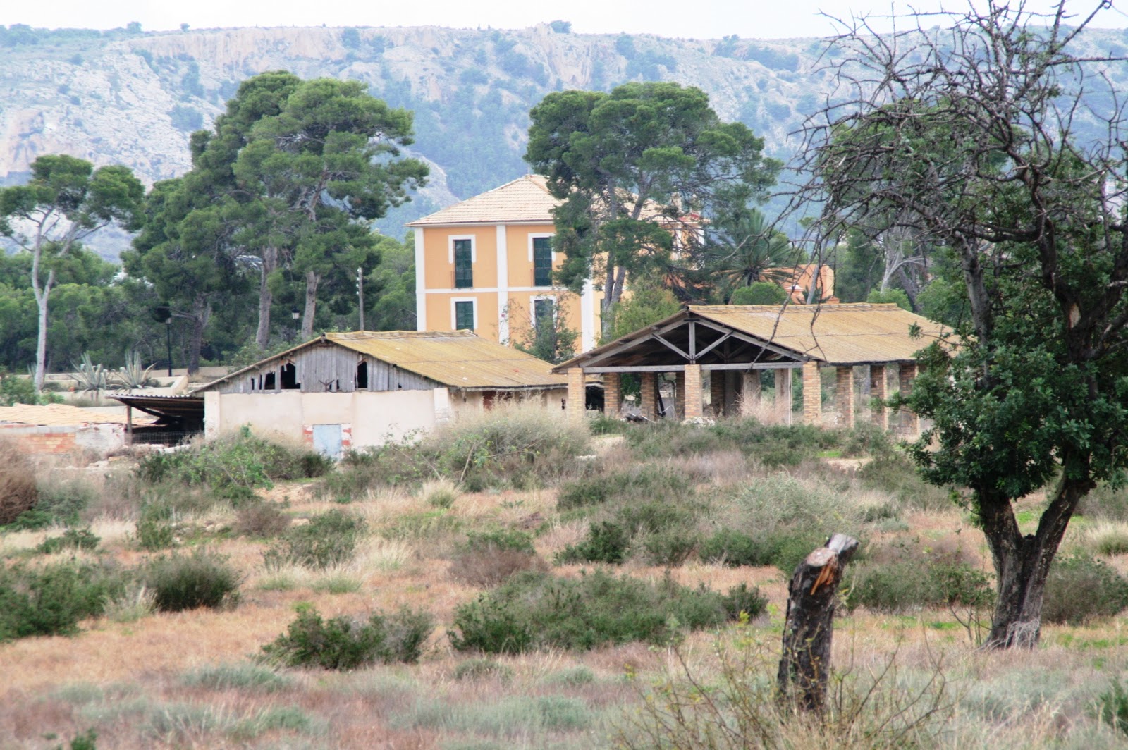 Finca Ruaya.jpg