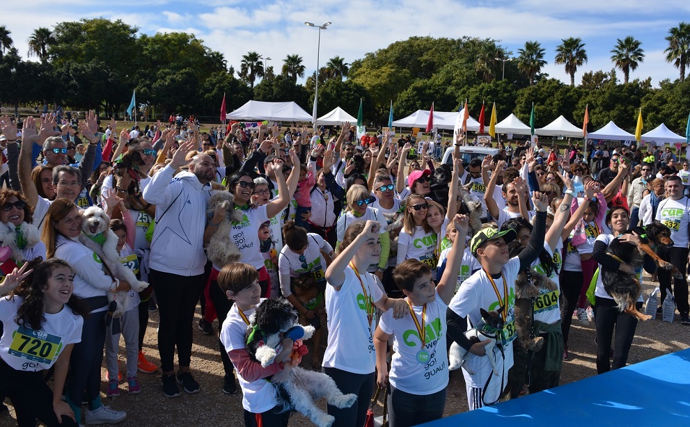 28 Oct 2018 Fiesta final F 8