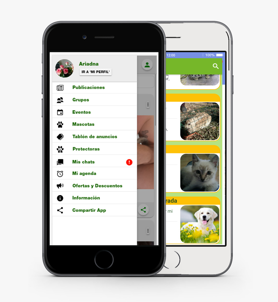 Social Animals App Elena Batista (1)