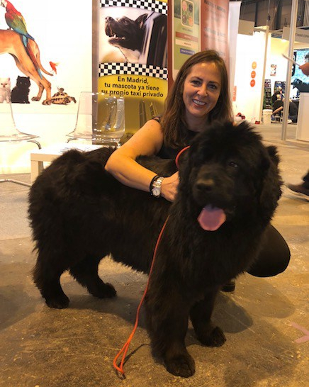 Social Animals App Elena Batista (2).jpg