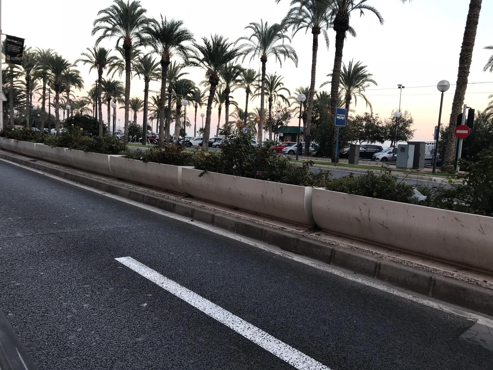 110118 Ajardinamiento mediana Juan B. Lafora.jpeg