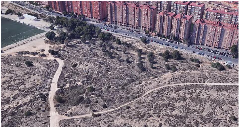 bosque urbano 2