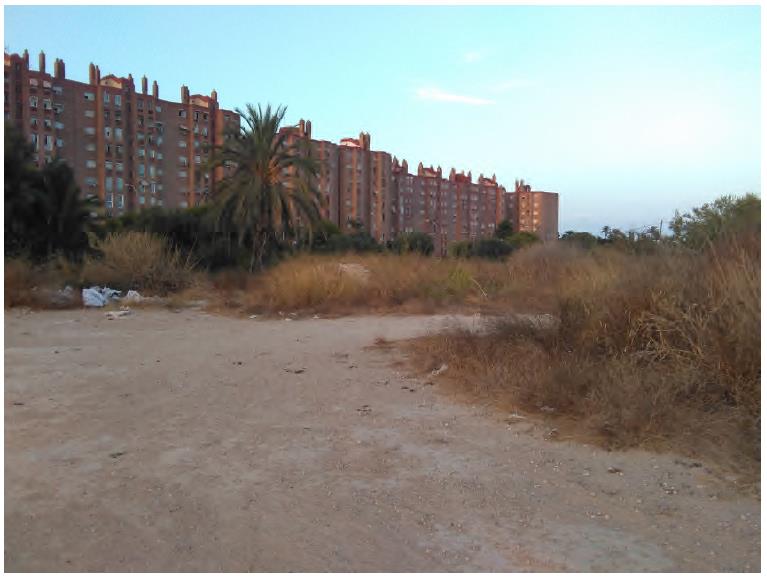 bosque urbano 3