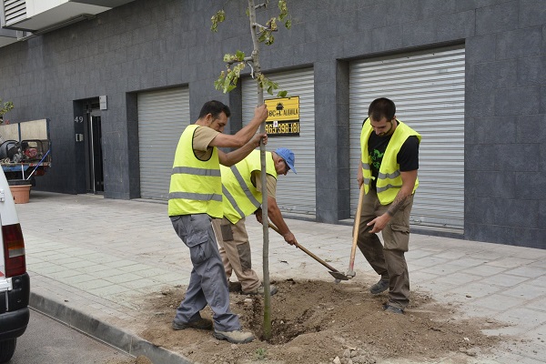 Elda trabajadores servicios y mantenimiento