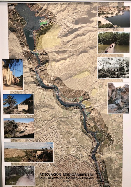 Camino Pantano Elche (2)