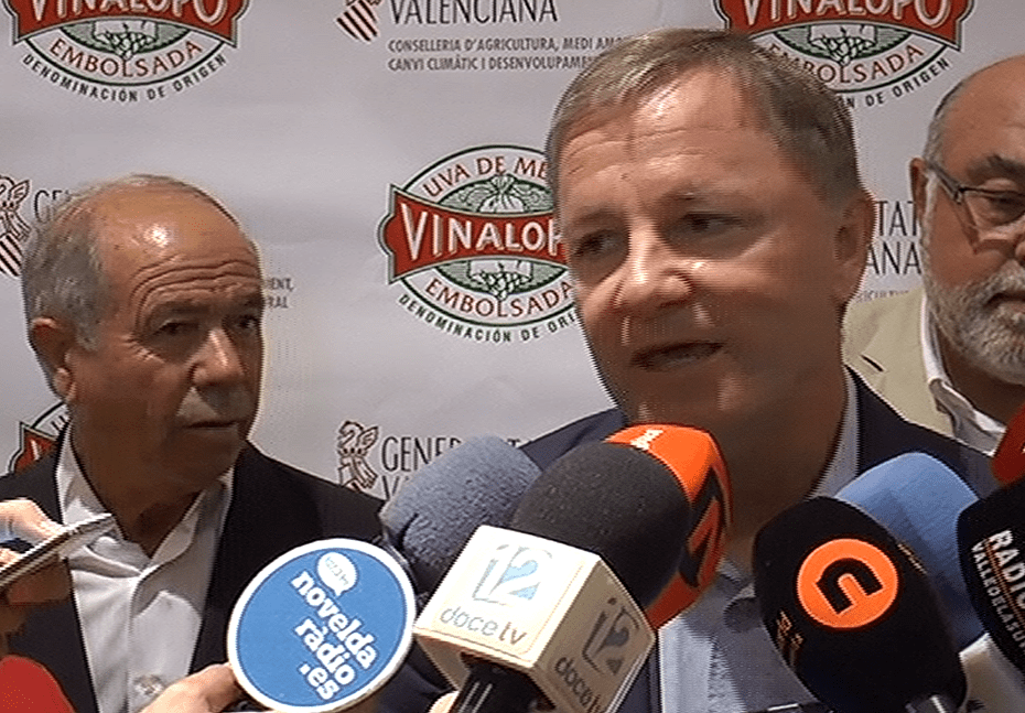 UVA EMBOLSADA DEL VINALOPÓ Moragues