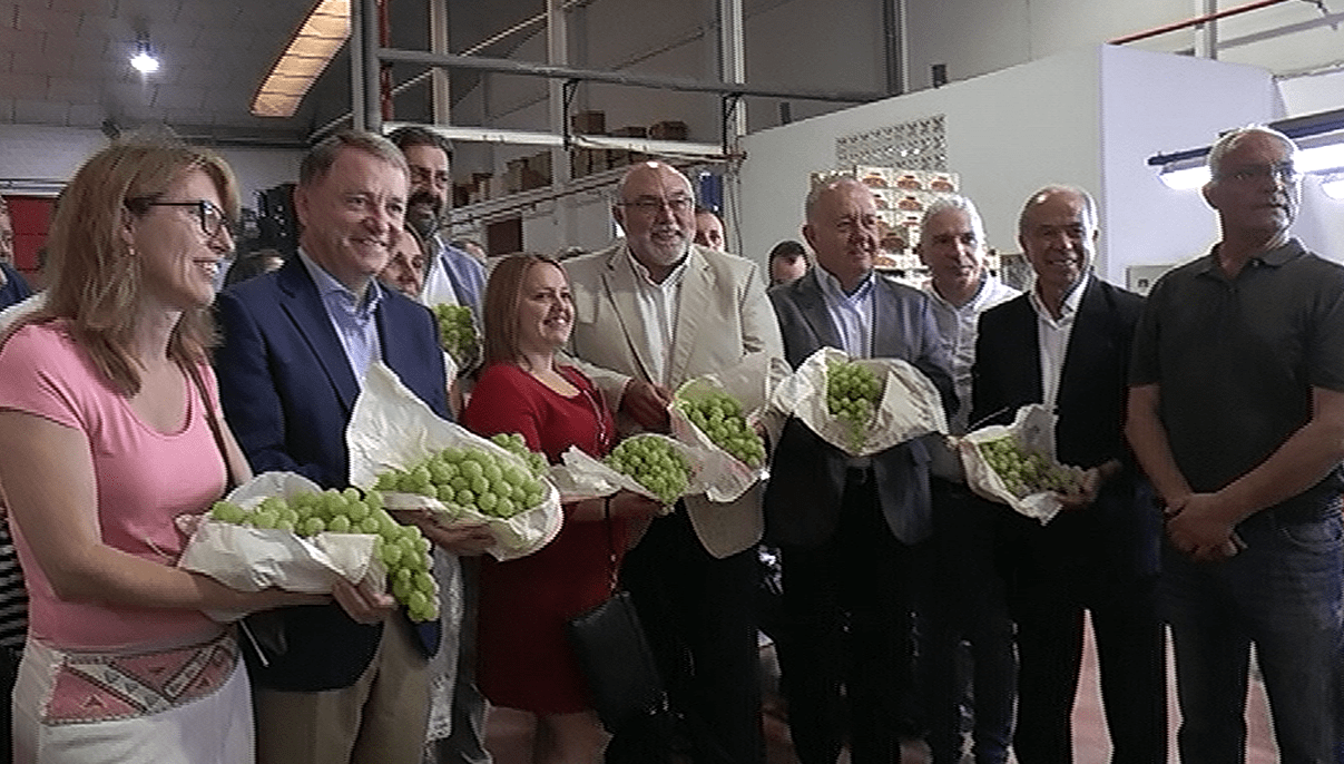 UVA EMBOLSADA DEL VINALOPÓ2